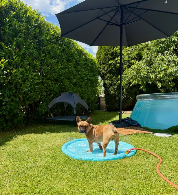 Shaded Splash Pad Under Patio Umbrella