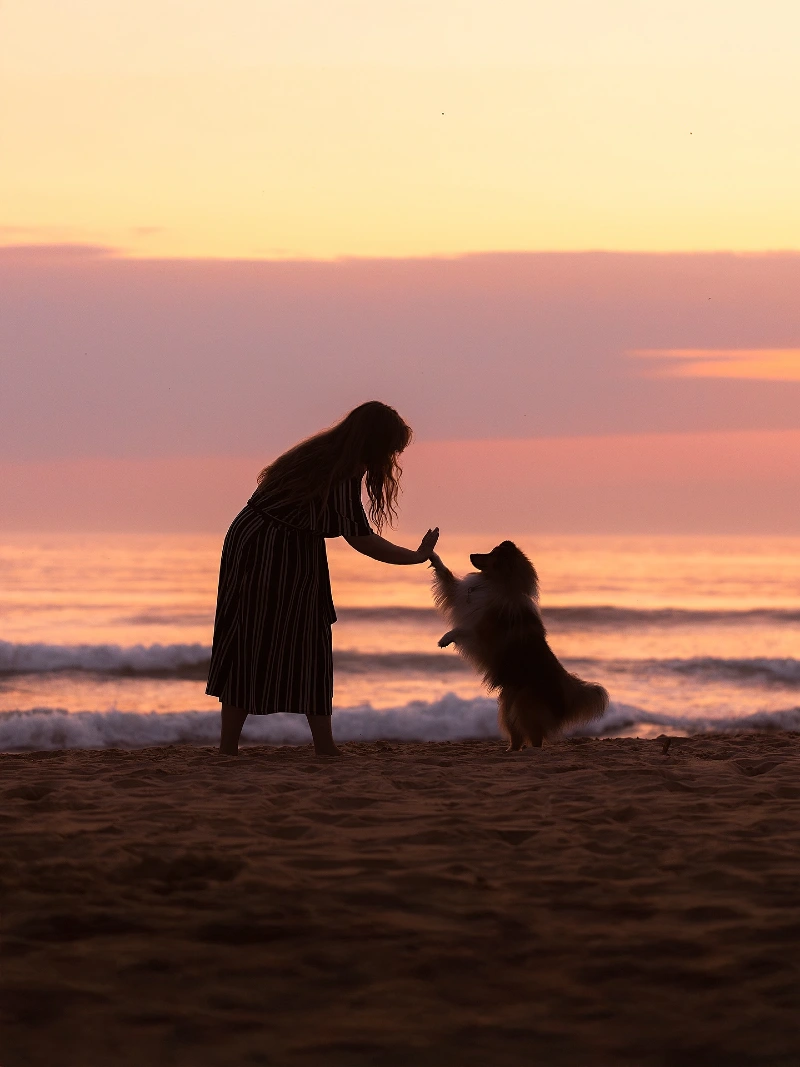 Silhouette high-five at sunset