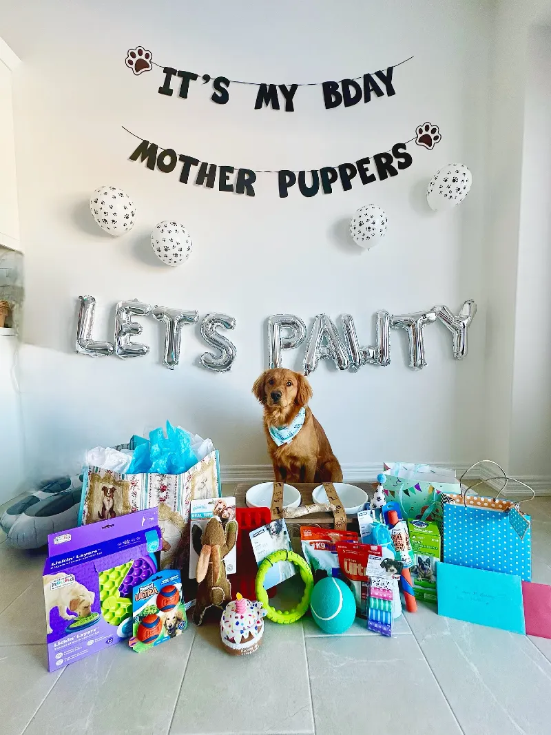 Silver Foil Letter Banner with Colorful Toy Spread and Golden Retriever Portrait