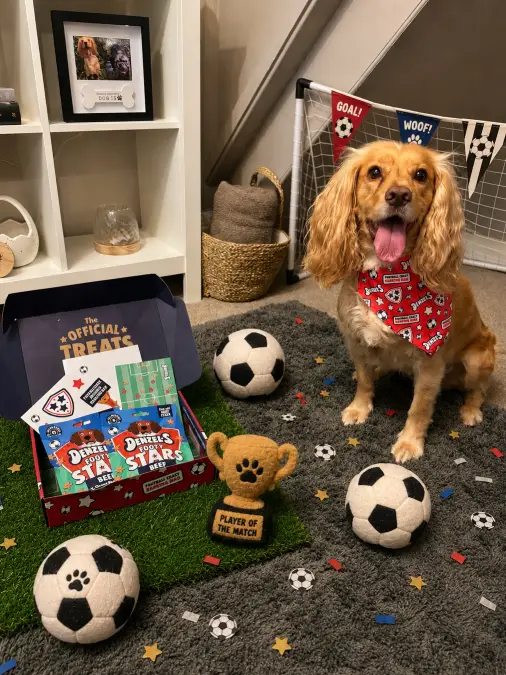 Soft Felt Sports Gear And Treat Boxes