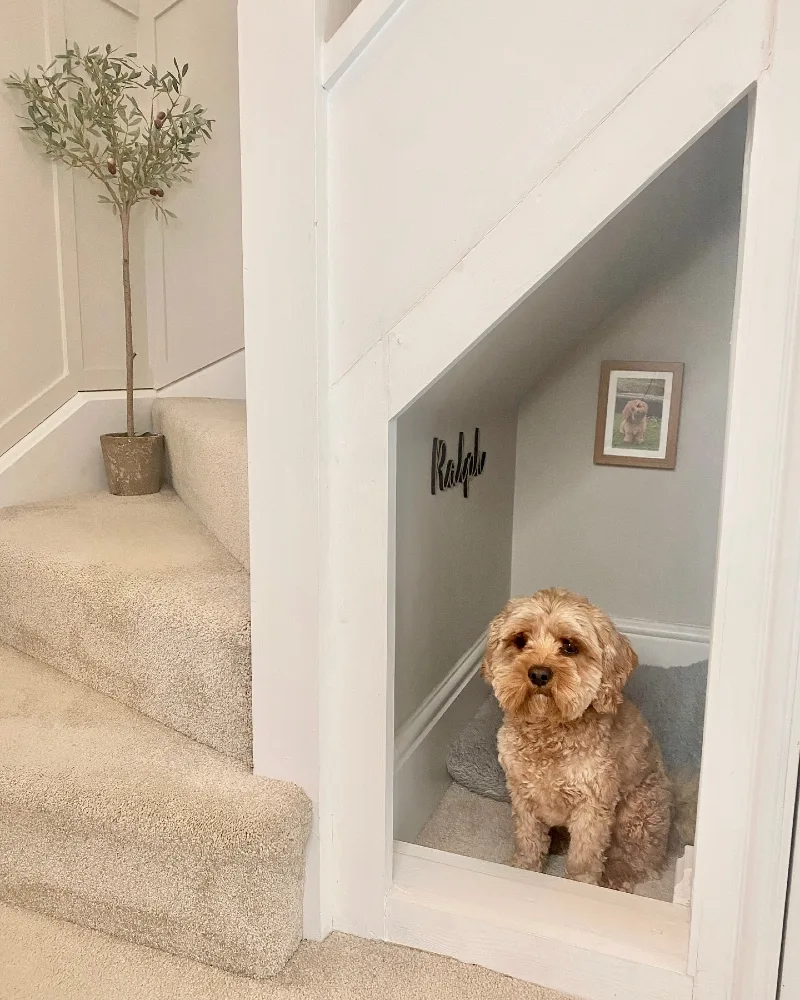 Soft Gray Asymmetrical Alcove with Script Name Sign and Framed Pet Portrait