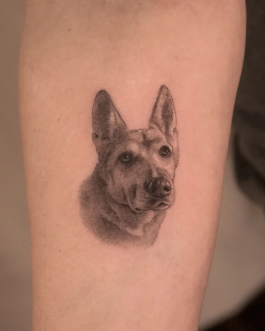 Soft Shaded Micro Realism Portrait