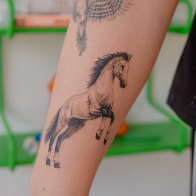 Soft Shaded Rearing Horse