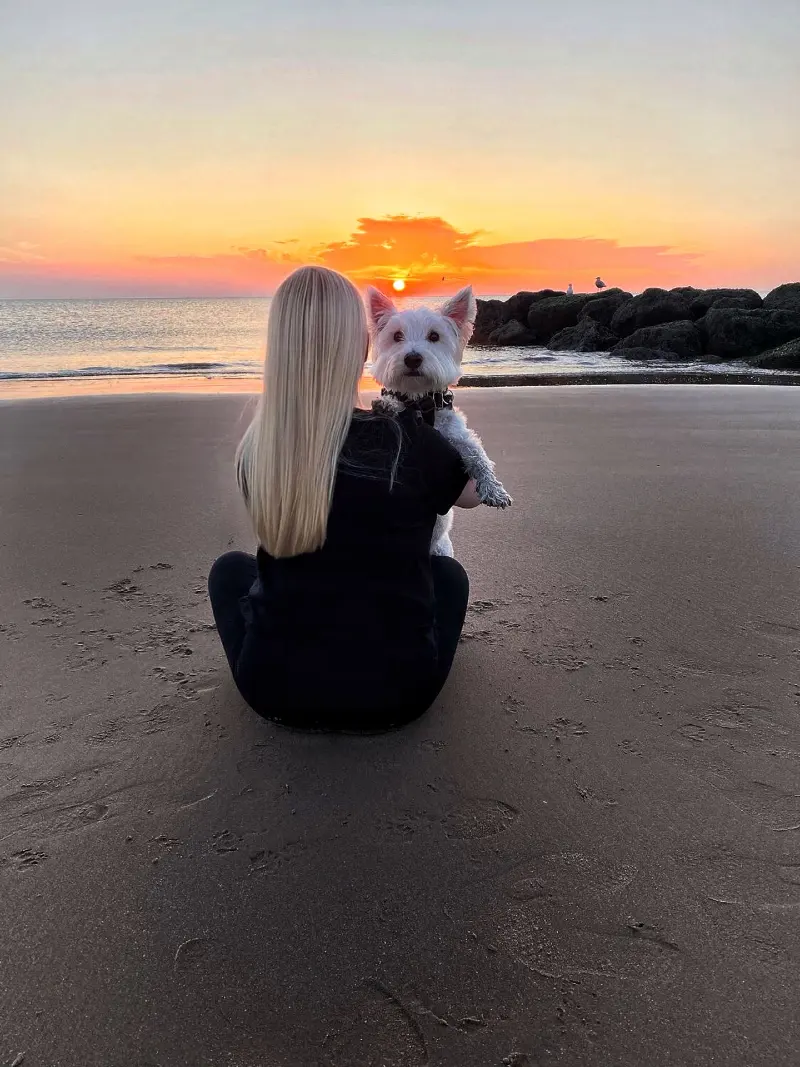 Solo owner and dog watching the sunset together