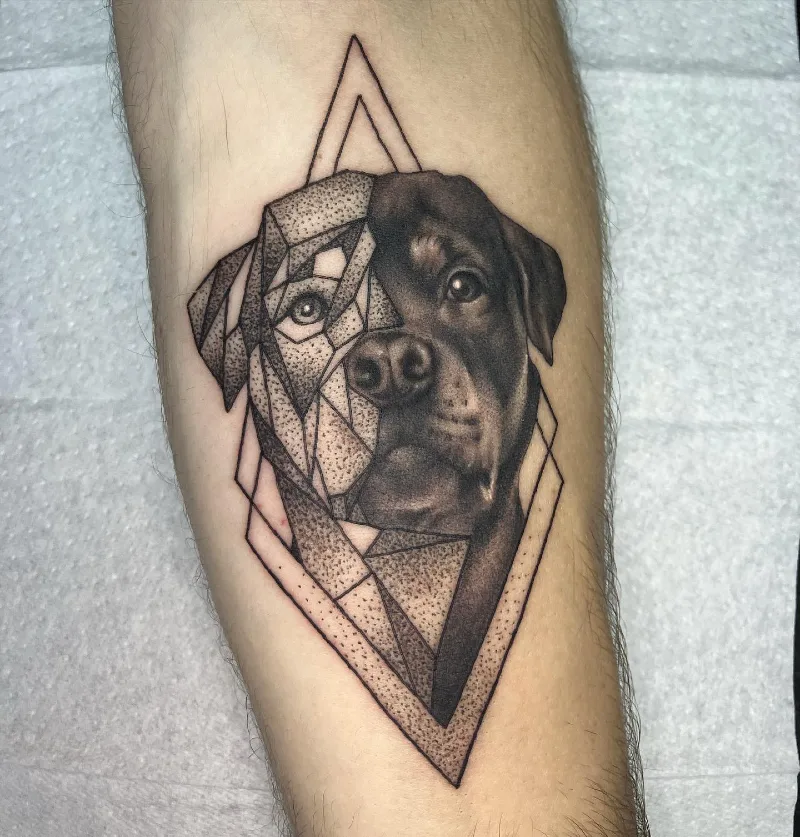 Split-Face Geometric and Realism Rottweiler Diamond Portrait with Stippled Low-Poly Details