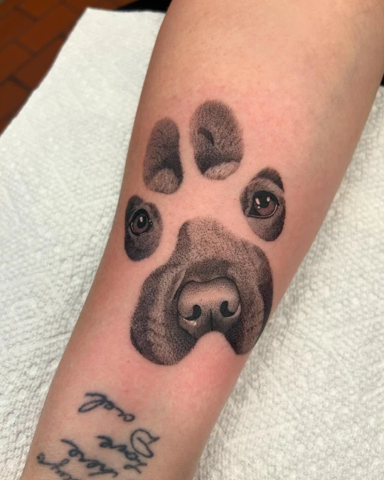 Stippled Paw Print And Face Illusion
