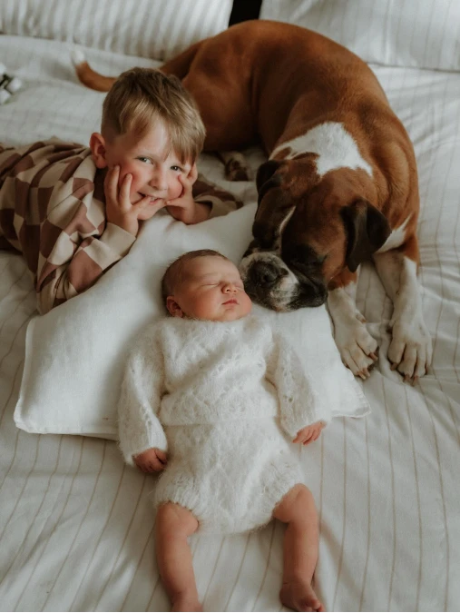 Striped Bedding Sibling Setup