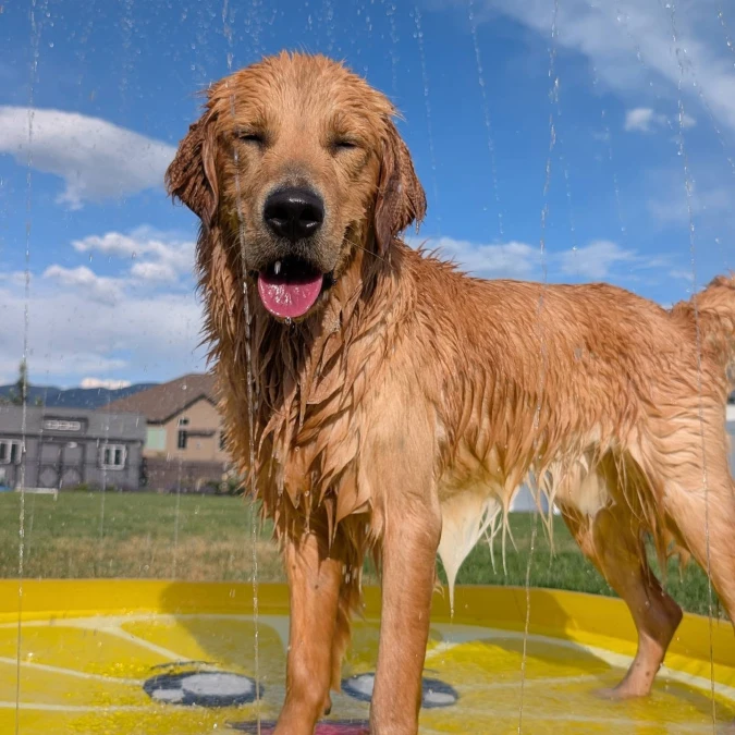 Sunny Lemon Slice Splash Pad