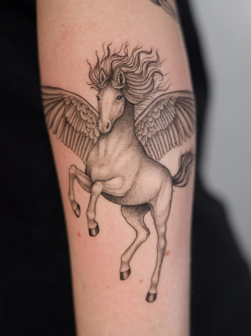 Symmetrical Front Facing Pegasus Design