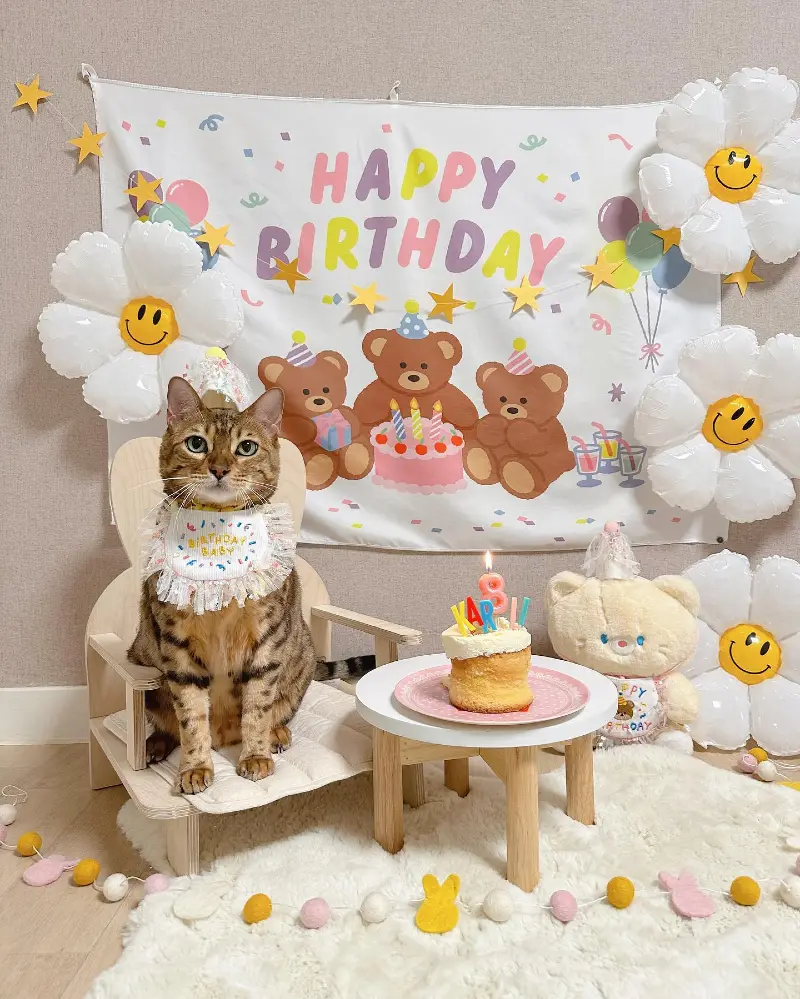 Teddy Bear Tapestry with Miniature Wooden Chair Setup and Smiley Daisy Balloons
