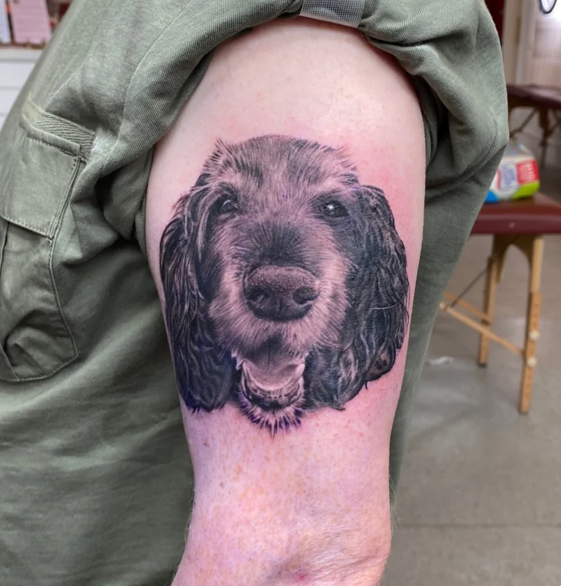 Textured Long-Eared Spaniel Portrait with Rich Black-and-Grey Fur Details