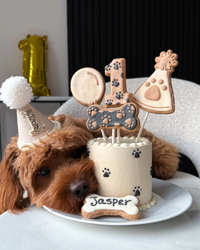 Textured White Plate with Paw-Print Frosted Cake and Oversized Iced Cookie Toppers