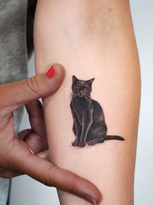 The Micro Realism Black Seated Cat