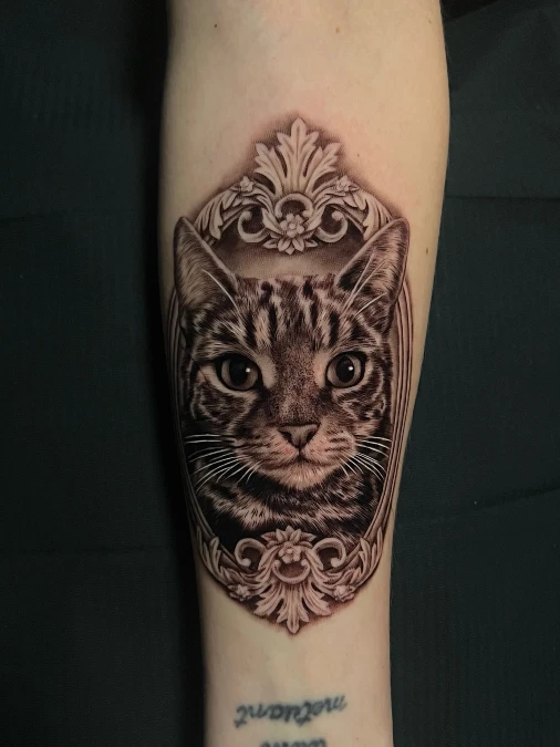 The Ornate Framed Tabby Portrait