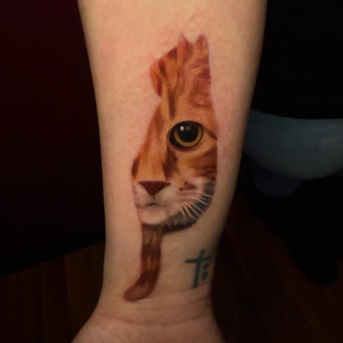 The Split Profile Color Realism