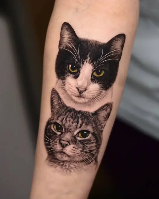 The Stacked Dual Portrait