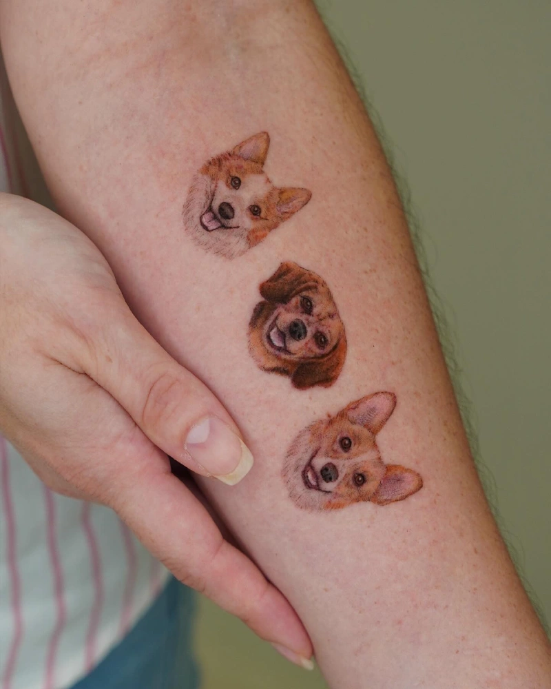 Three tiny color portraits celebrating a dog family