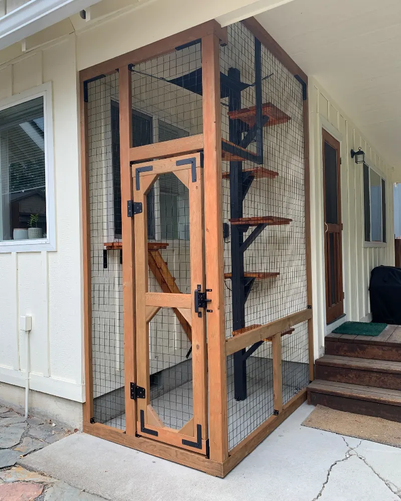 Timber-Framed Porch Catio with Black Hardware and Spiral Climbing Tree