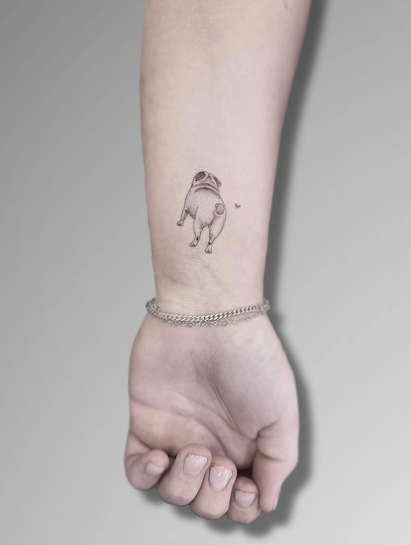 Tiny pug rear view with a red heart
