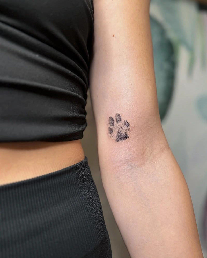 Tiny realistic paw impression on the inner arm