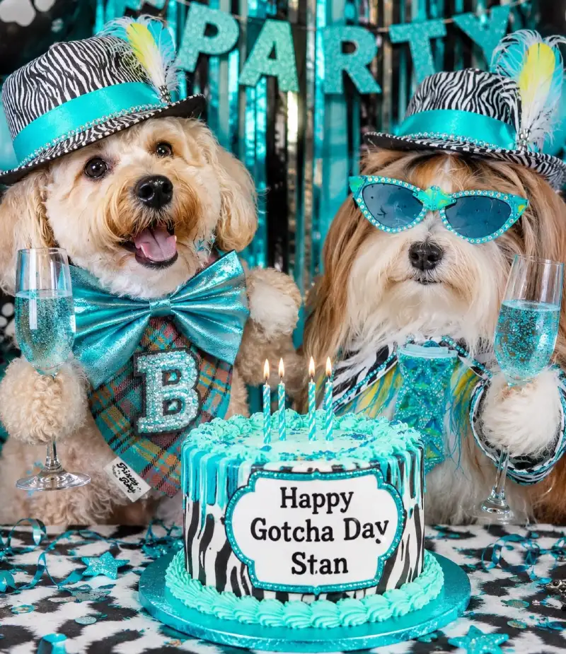 Turquoise Drip Cake with Zebra Print Tablecloth and Feathered Hats