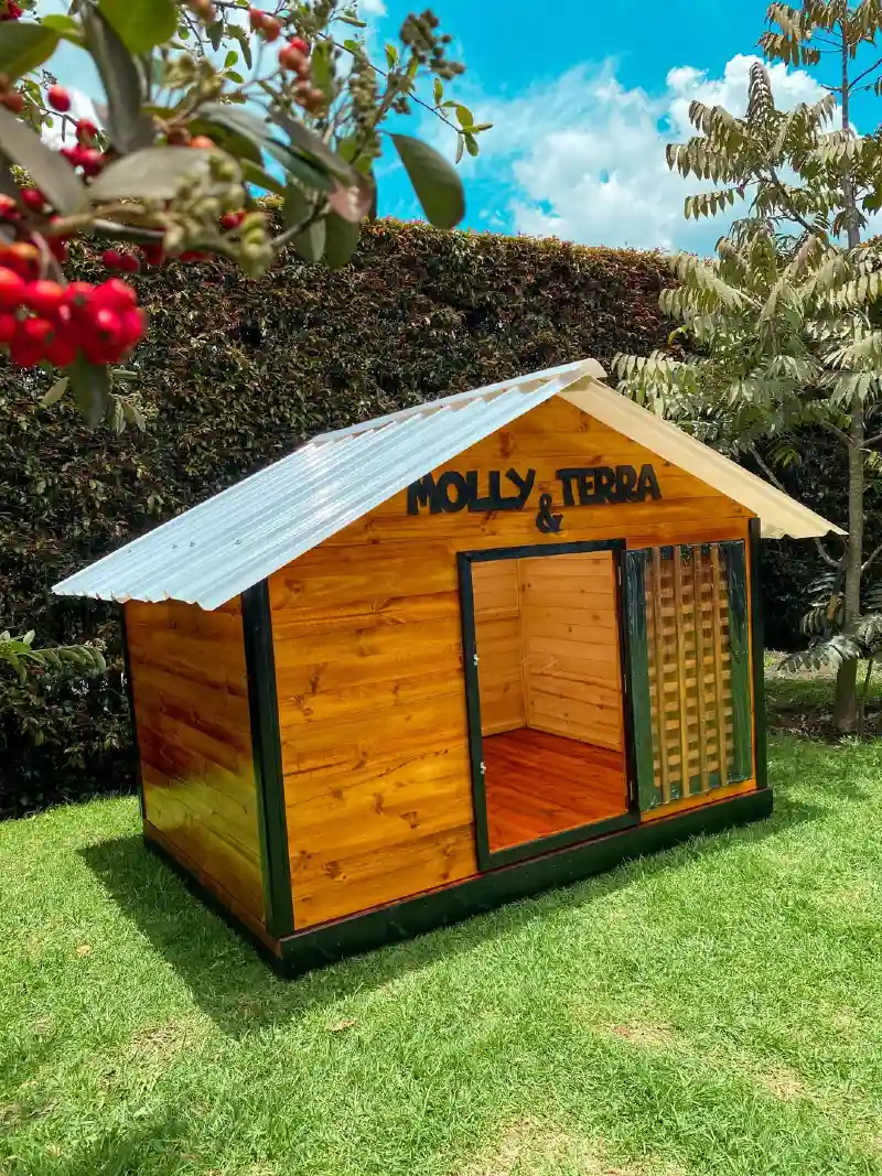 Varnished Amber-Stained Kennel with White Metal Roof and Integrated Lattice Window