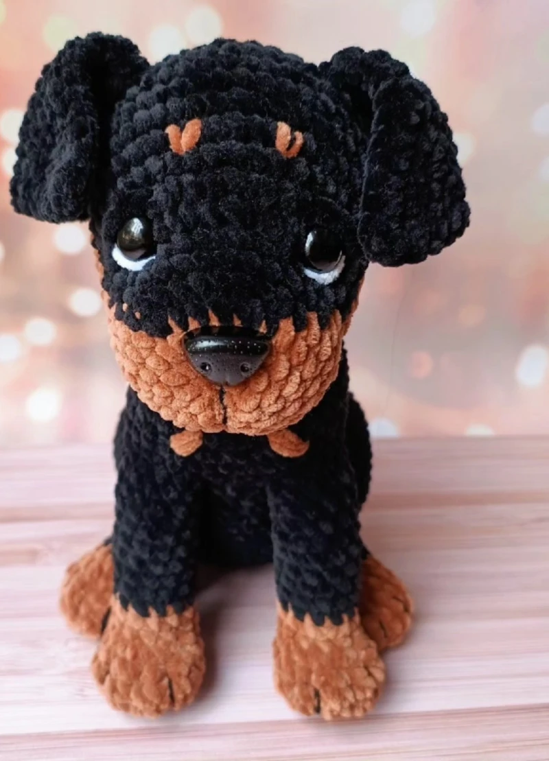 Velvet Rottweiler Puppy with Rust Brown Eyebrows and Paws