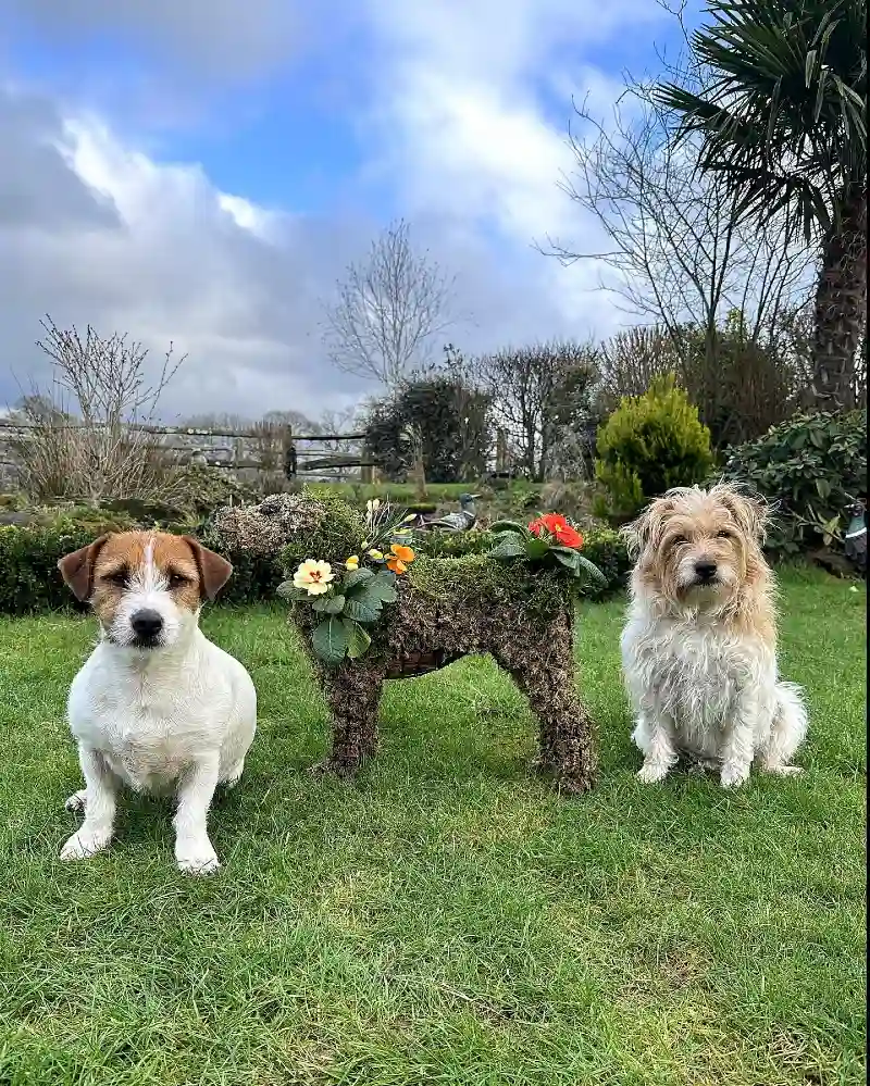 Vibrant Green Lawn with Moss-Covered Dog Topiary and Primrose Accents