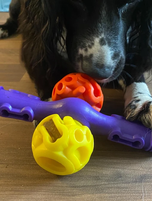 Vibrant Rubber Toys on Warm Hardwood Floors