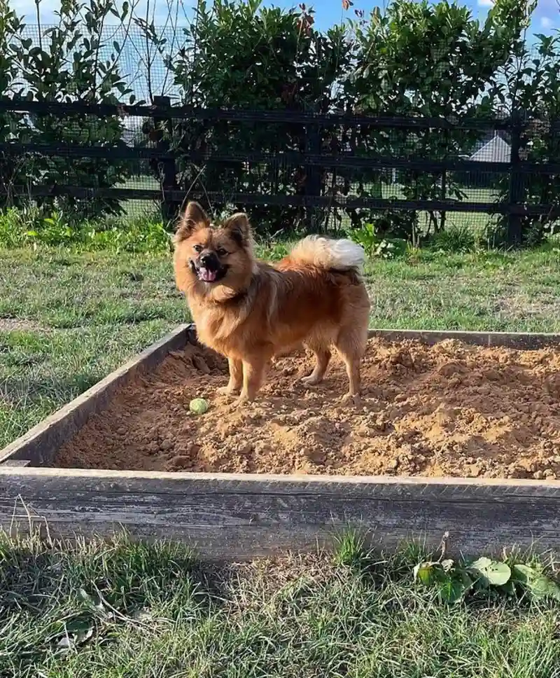 Weathered Wood Sleeper Sandbox on Open Grass