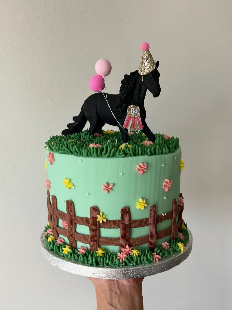 Whimsical Birthday Pasture Cake with Party-Hat Black Stallion Topper