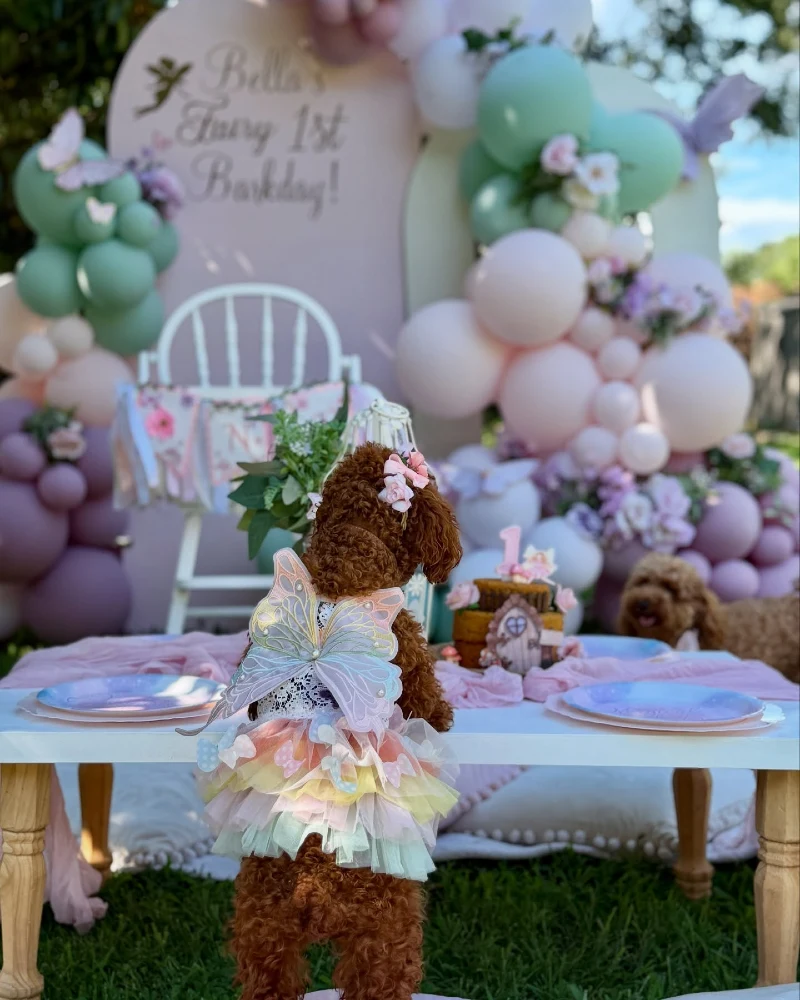 Whimsical Fairy Theme Low Picnic Table with Pastel Balloons and Lavender Board