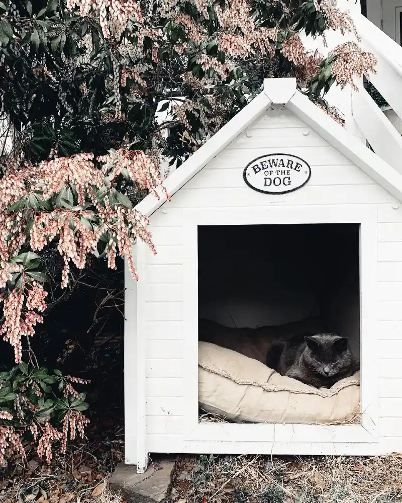 White Cottage Shelter with Straw Insulation and Oval Metal Sign