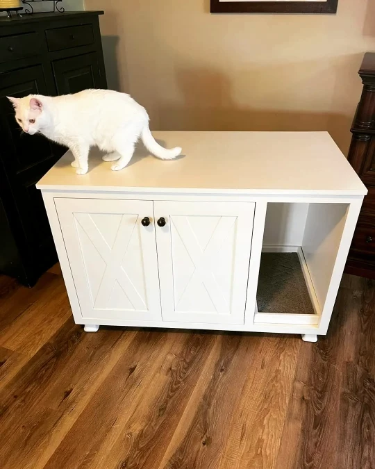 White Farmhouse Double Door Console