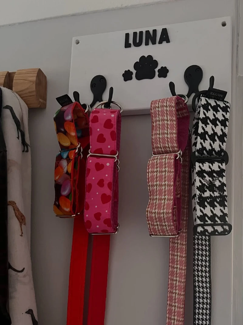 White Painted Board with Black Paw Details and Patterned Leash Collection