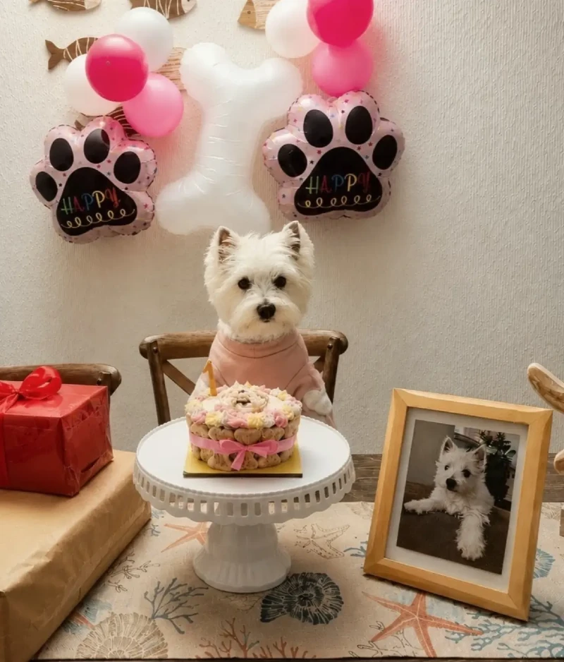 White Scalloped Cake Stand with Bone-Shaped Balloons and Framed Portrait