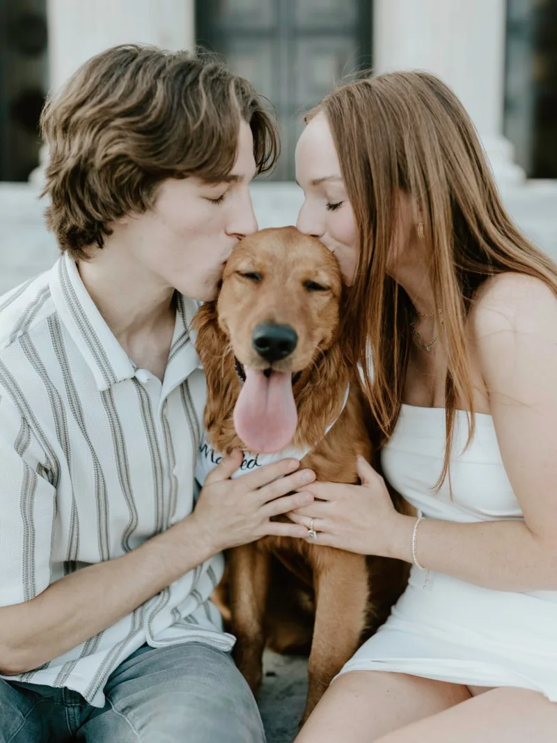 White Script Printed Bandana on a Golden Retriever