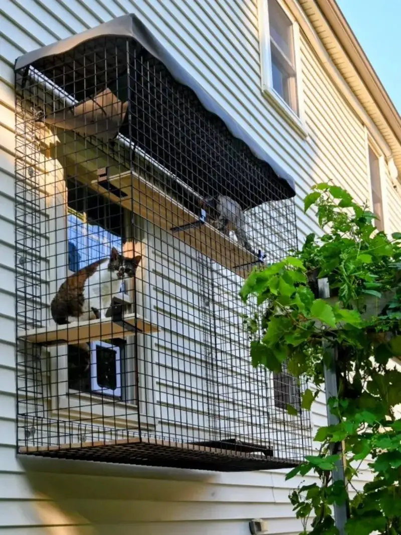 Window-Mounted Black Wire Catio with Scalloped Grey Awning