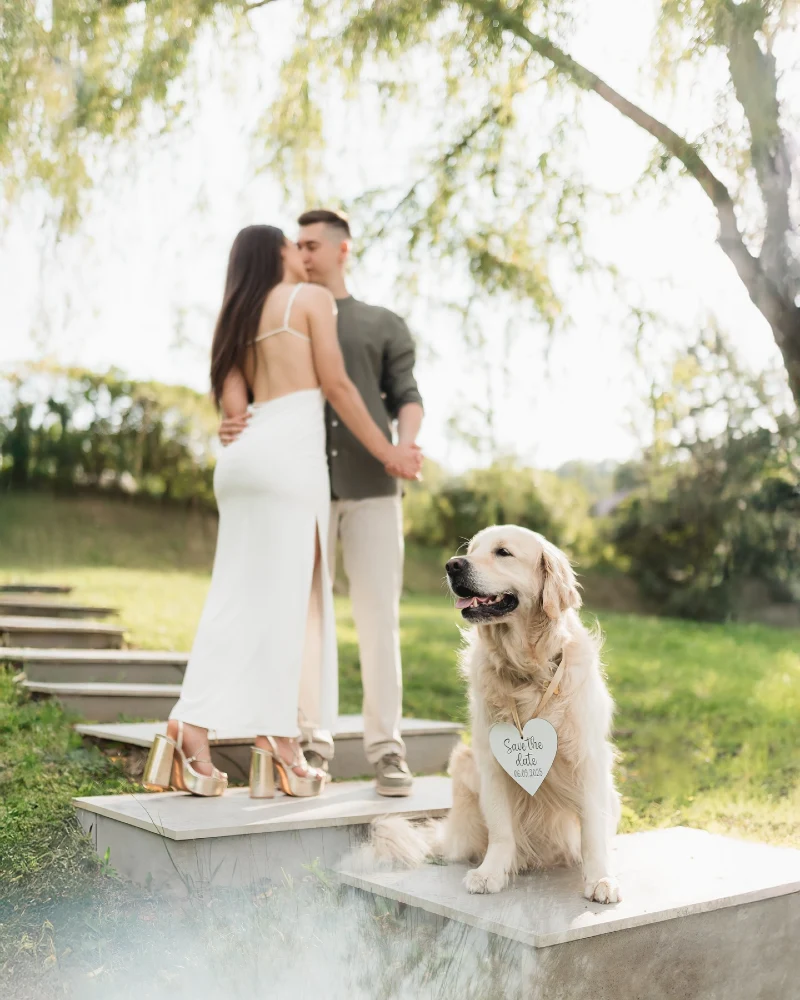 Wooden Heart Save the Date Plaque on a Golden Retriever