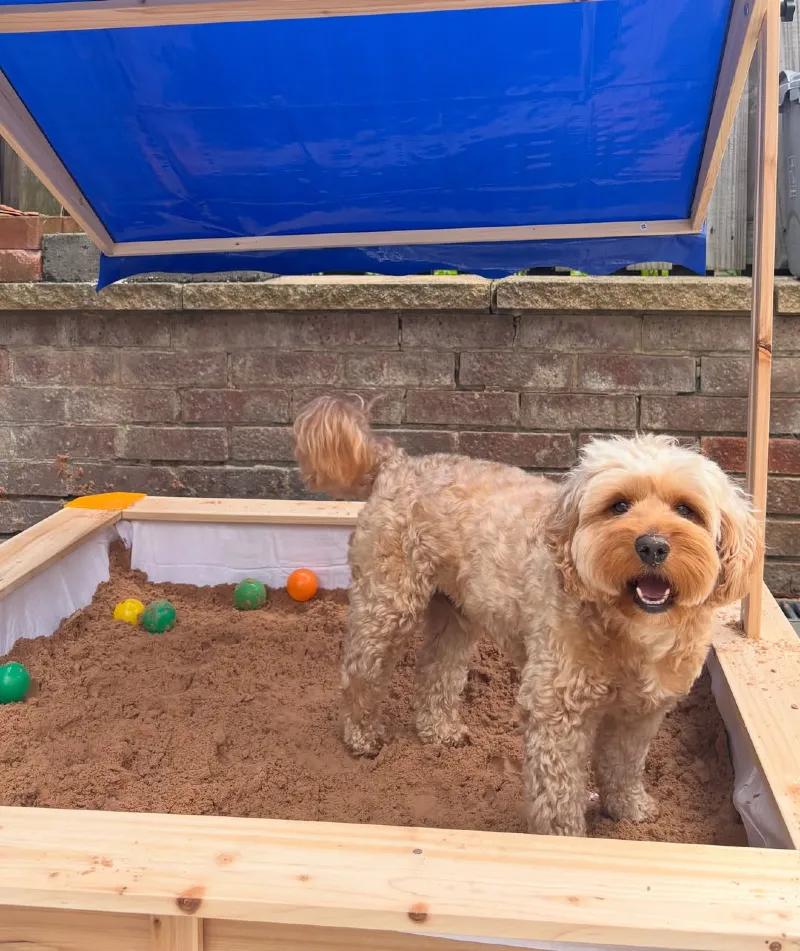 Wooden Sandbox with Adjustable Blue Canopy and White Protective Liner