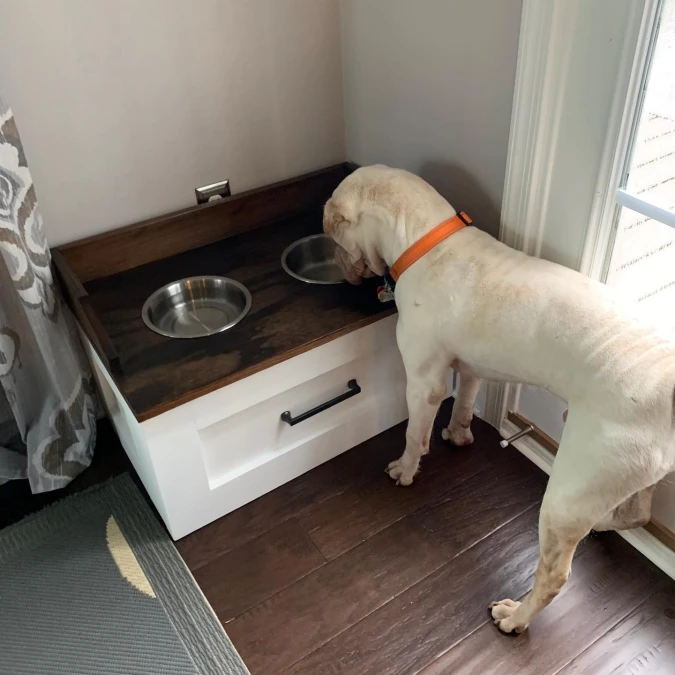 Custom Corner Feeding Station With Bottom Storage