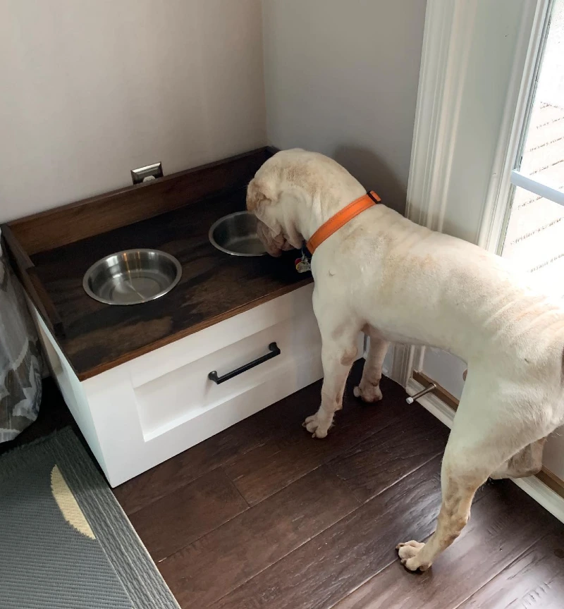 White Cabinet Feeding Station with Dark Stained Top and Storage Drawer
