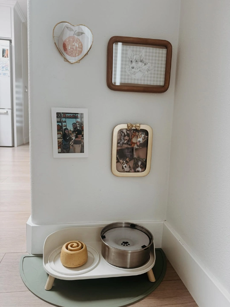White Elevated Pet Station with Gallery Wall and Water Fountain
