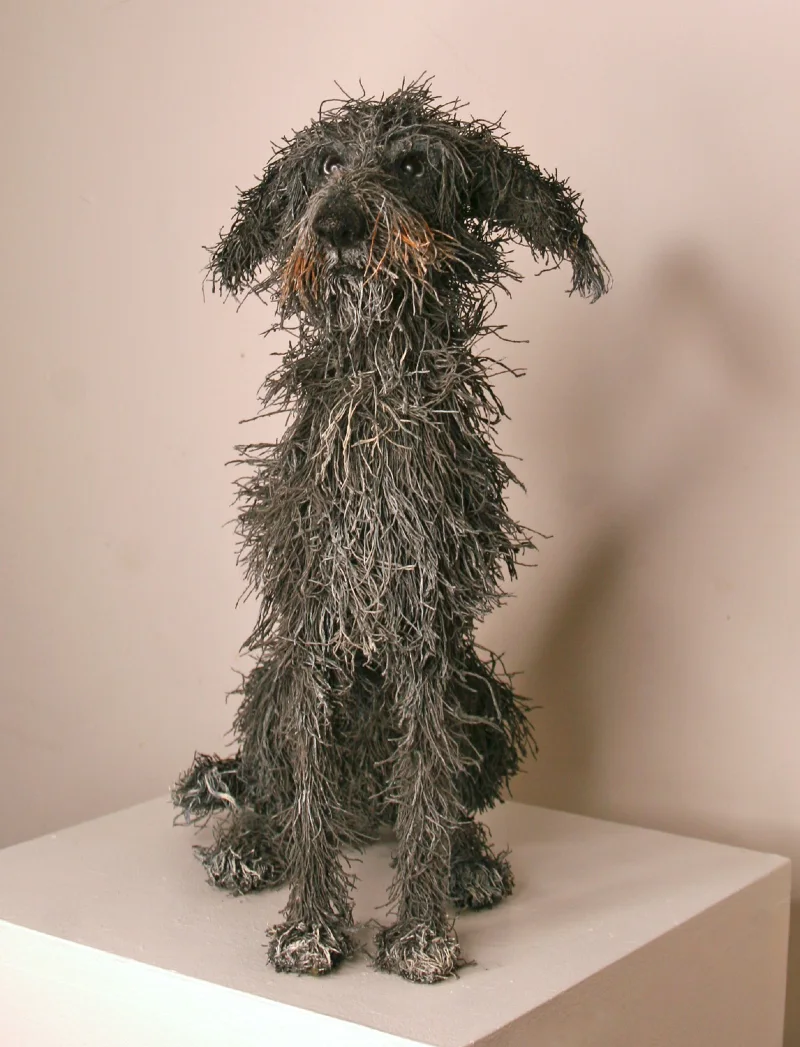 Wire-Constructed Shaggy Dog Sculpture on White Pedestal